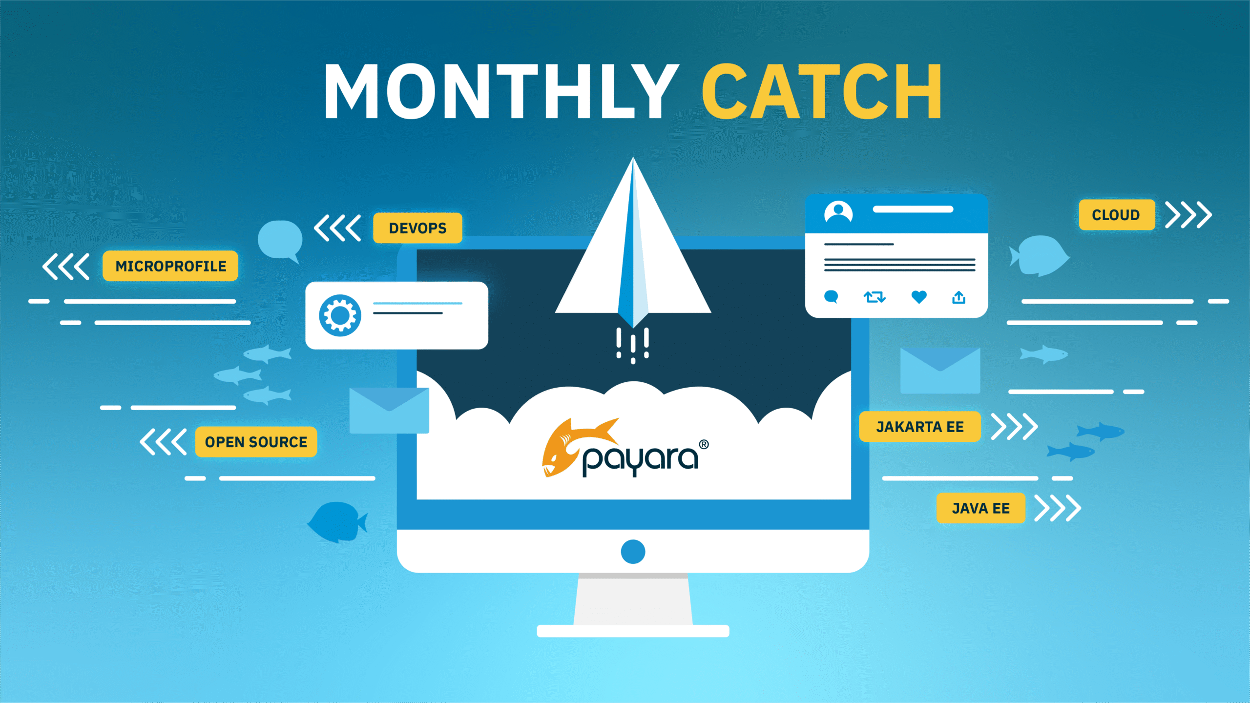 blog.payara.fishhubfsMonthly catch Yellow Highlights-03-1