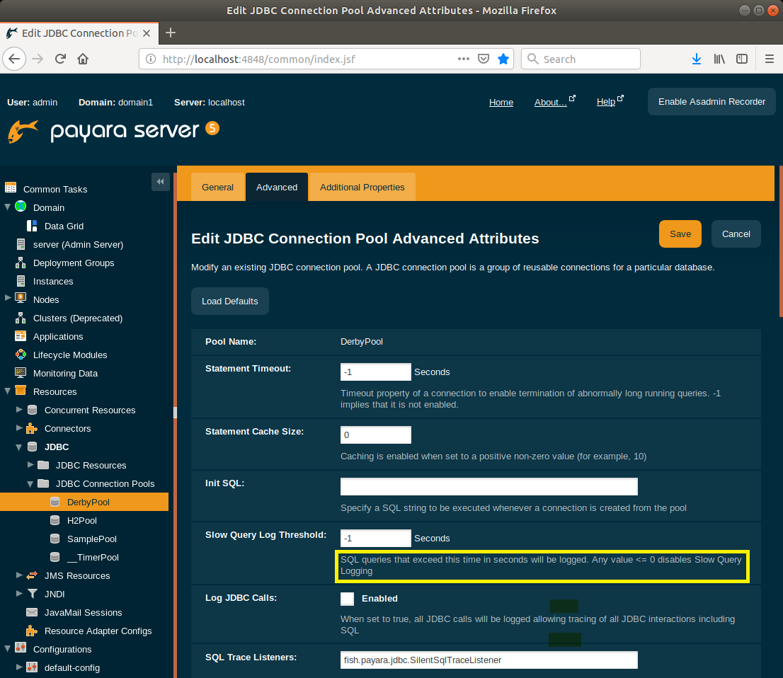 Payara Server Console