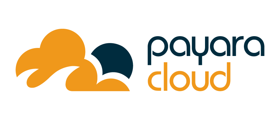 Payara Cloud Logo
