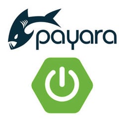 payara-and-spring-boot_resized-1.jpg