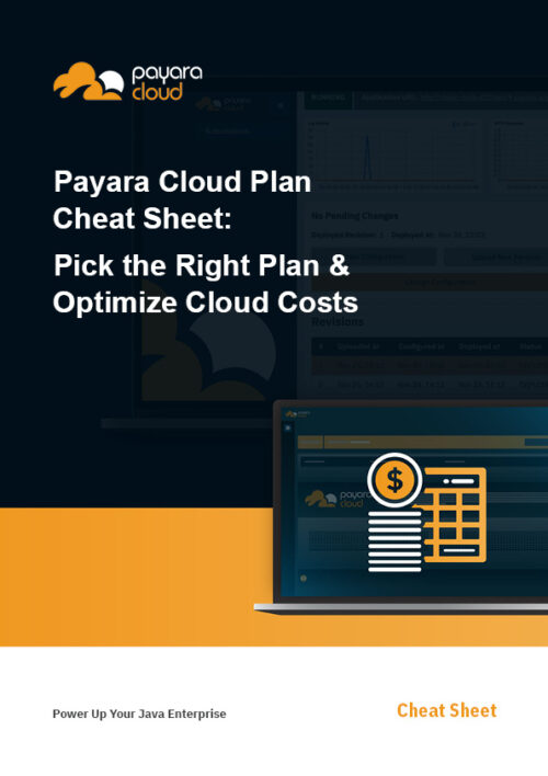 Payara Cloud Plan Cheat Sheet: Pick the Right Plan & Optimize Cloud Costs