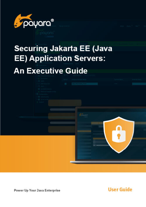 Securing Jakarta EE (Java EE) Application Servers: An Executive Guide
