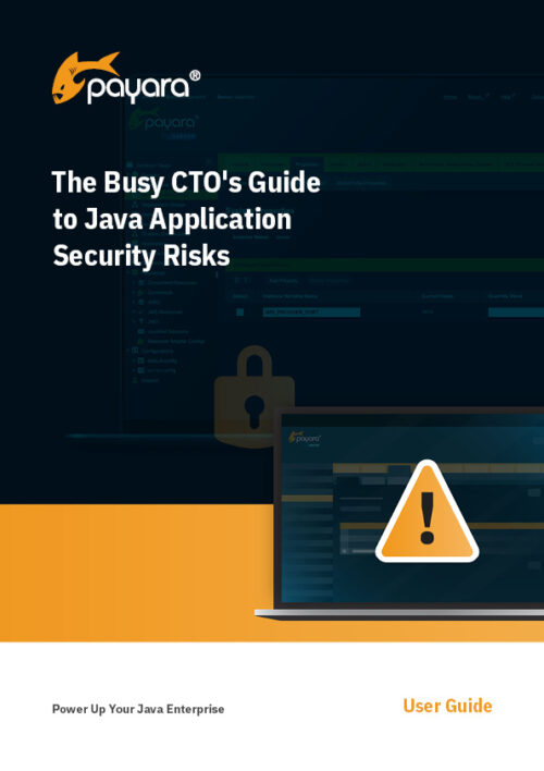 The Busy CTO's Guide to Java Application Security Risks