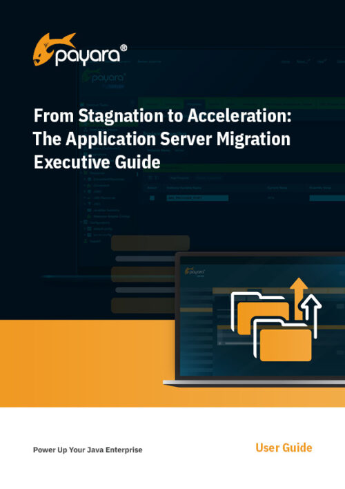 From Stagnation to Acceleration: The Application Server Migration Executive Guide