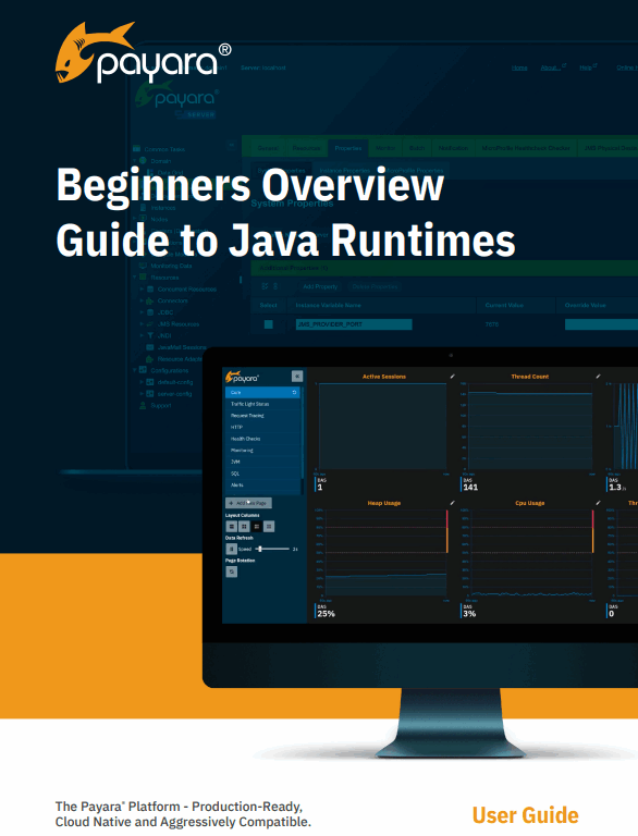 Beginners Overview Guide to Java Runtimes
