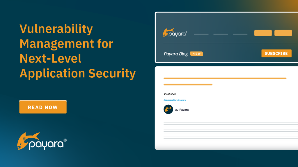 Beyond Firewalls: Why Vulnerability Management is Key to Modern Application Security