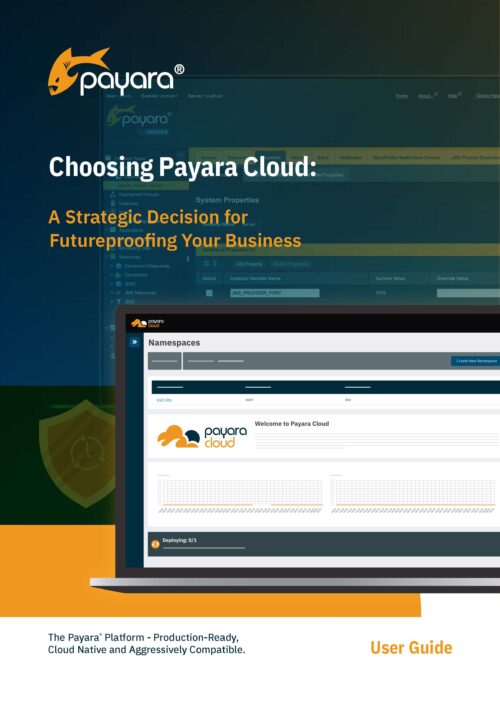 Choosing Payara Cloud: A Strategic Decision for Futureproofing Your Business
