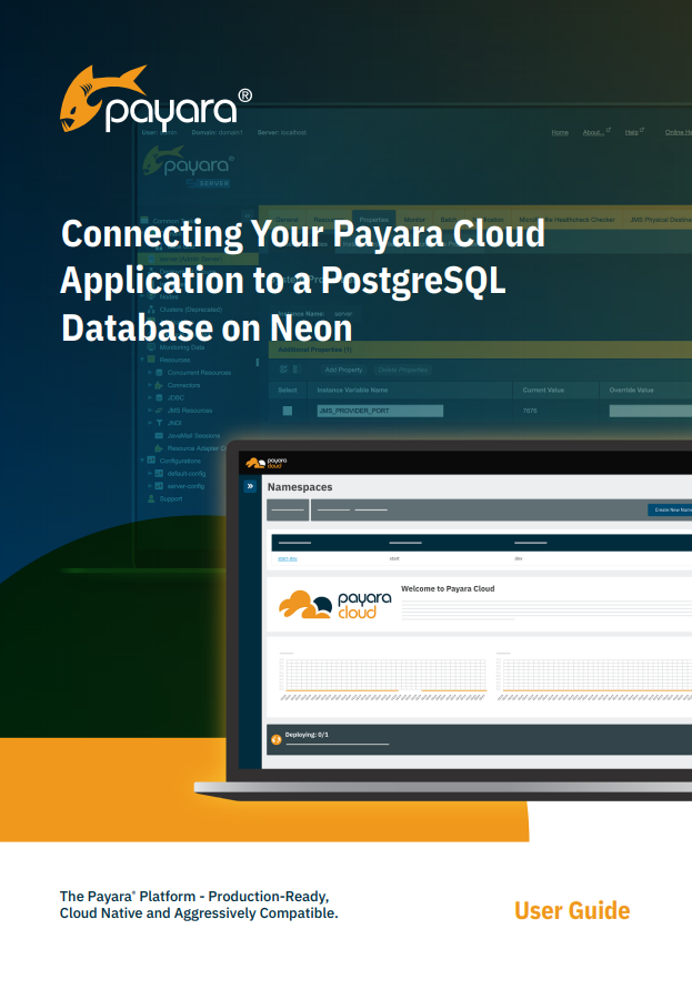 Connecting Your Payara Cloud Application to a PostgreSQL Database on Neon