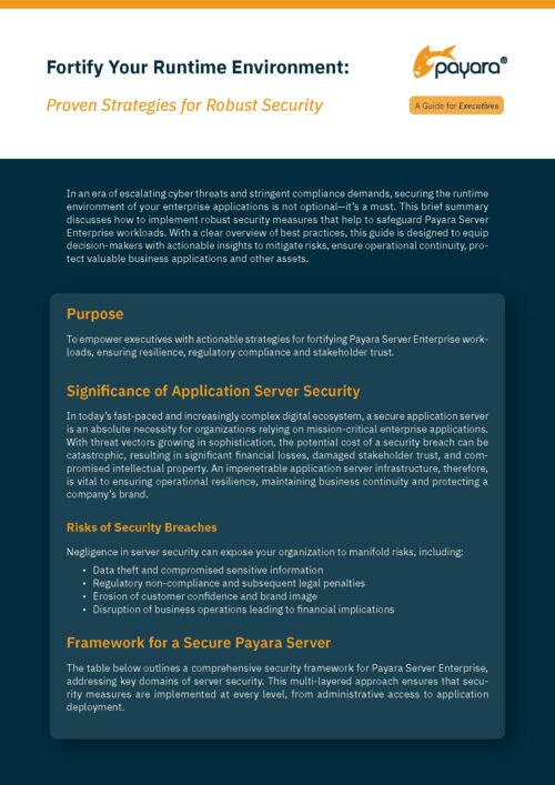 Fortify Your Runtime Environment: Proven Strategies for Robust Security – A Guide for Executives