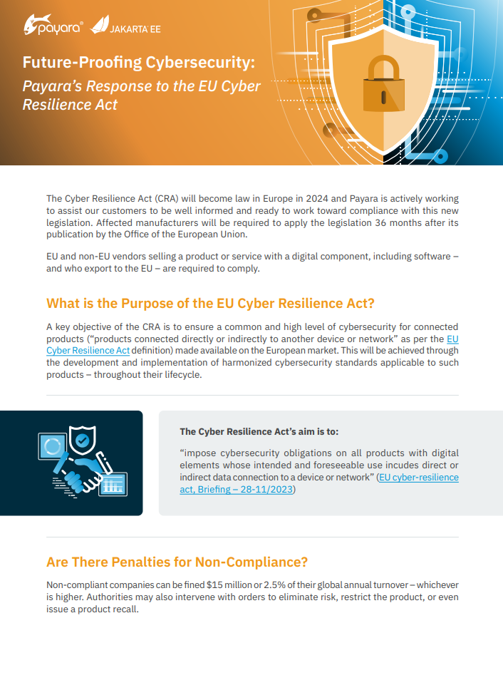Future-Proofing Cybersecurity: Payara’s Response to the EU Cyber Resilience Act