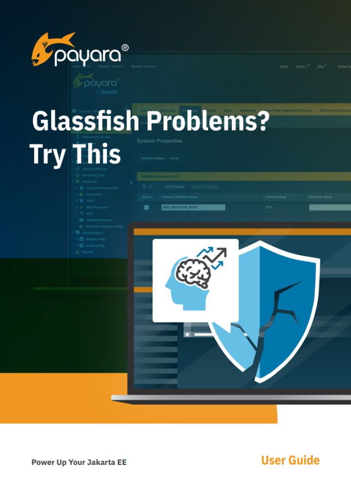 GlassFish-Problems-Try-This-from-Payara-Services-719x1024