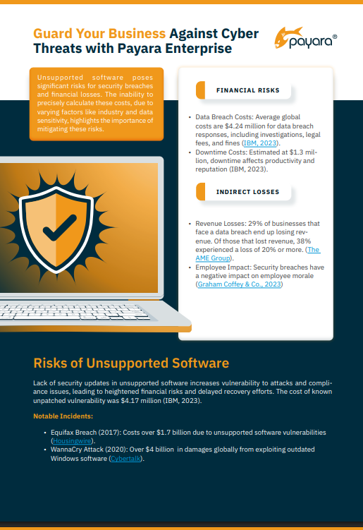 Guard Your Business Against Cyber Threats with Payara Enterprise