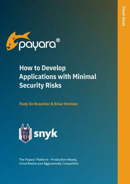 How-to-Develop-Applications-with-Minimal-Security-Risks