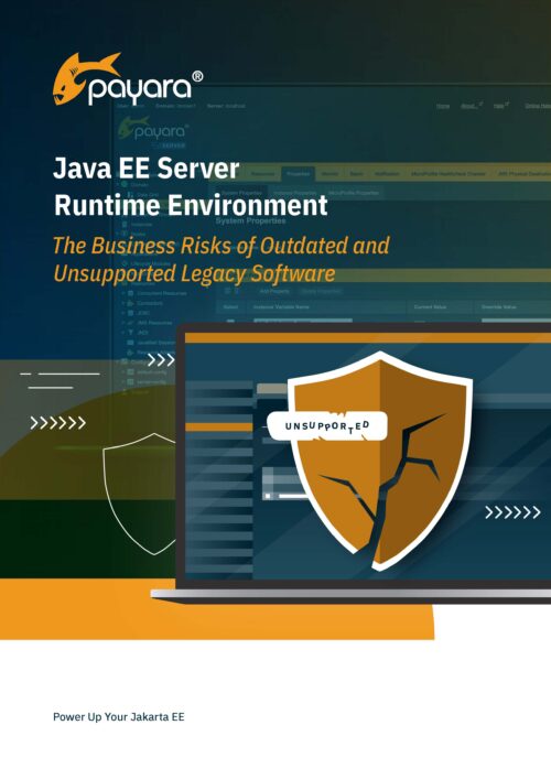 Java EE Server Runtime Environment: The Business Risks of Outdated and Unsupported Legacy Software