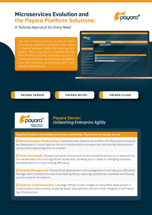 Microservices Evolution and Payara Platform Solutions