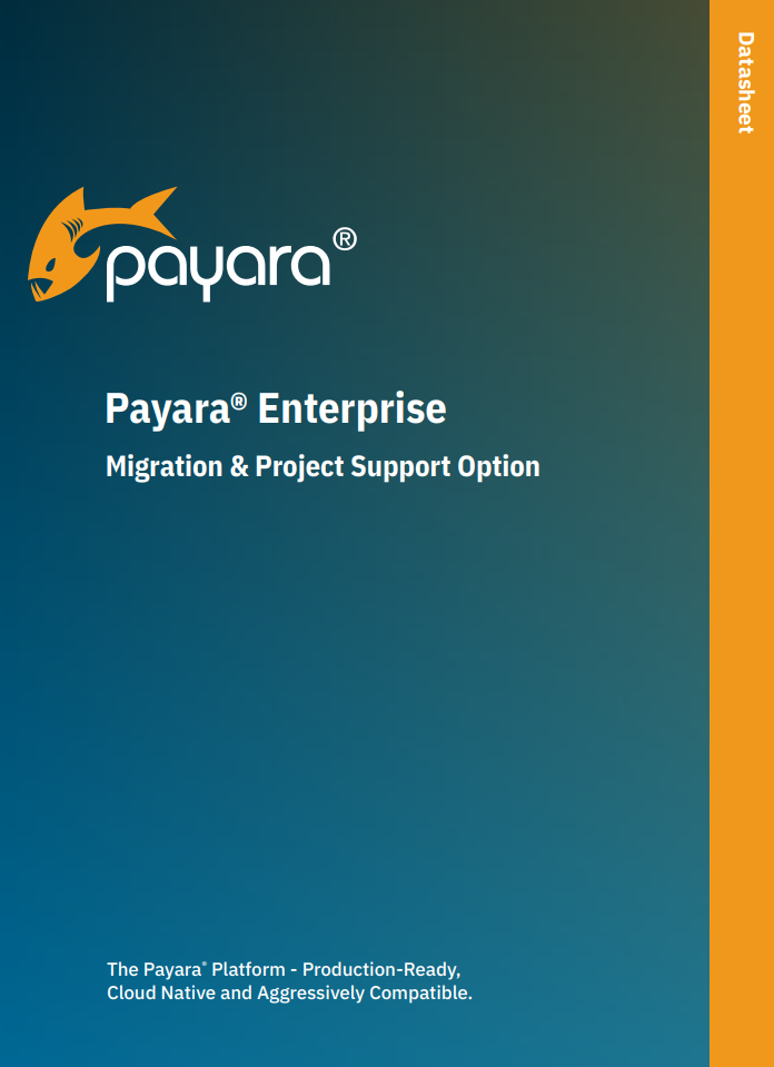 Payara Enterprise Migration & Project Support Option datasheet