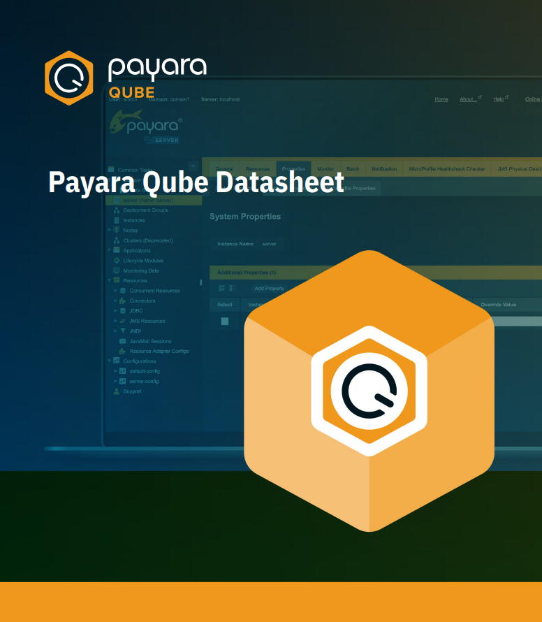 Payara Qube Datasheet