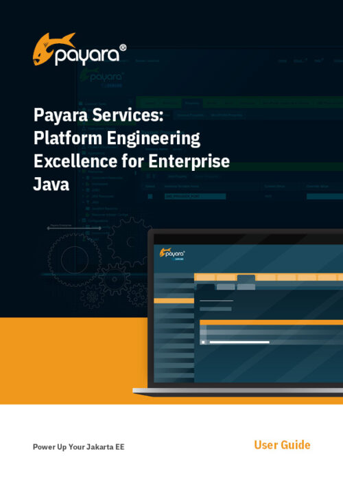 Payara Services Platform Engineering Excellence for Enterprise Java