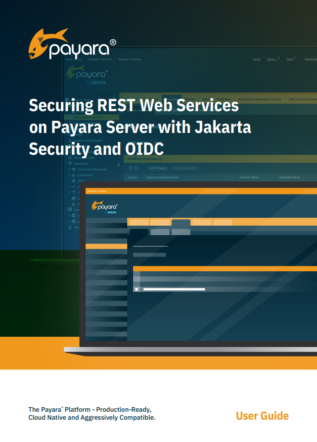 Securing REST Web Services on Payara Server with Jakarta Security and OIDC