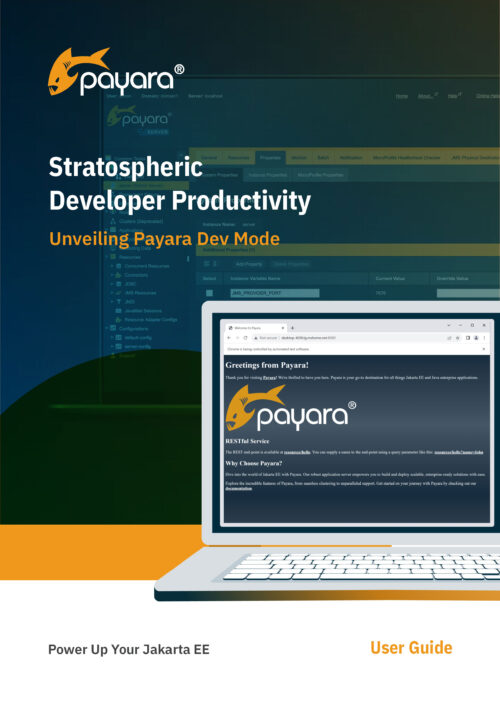 Stratospheric Developer Productivity – Unveiling Payara Dev Mode