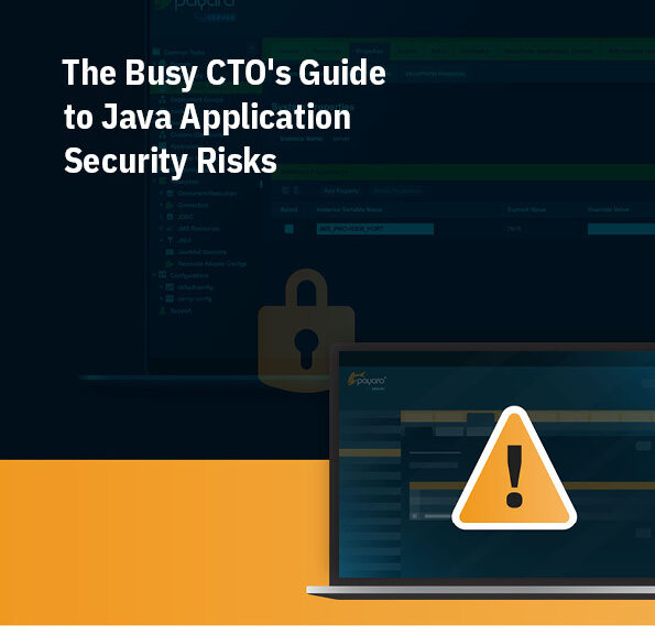 The Busy CTOs Guide to Java Application Security Risks Cover