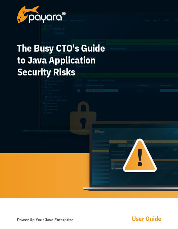 The Busy CTOs Guide to Java Application Security Risks Cover