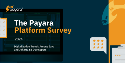 The Payara Platform Survey Report 2024