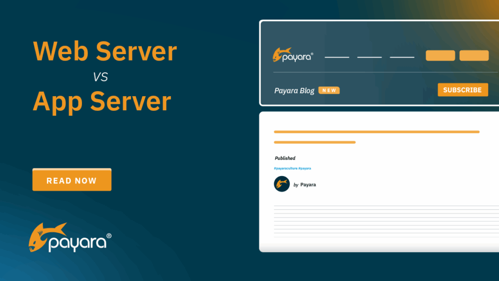 Web Server vs. Application Server: What's the Difference?