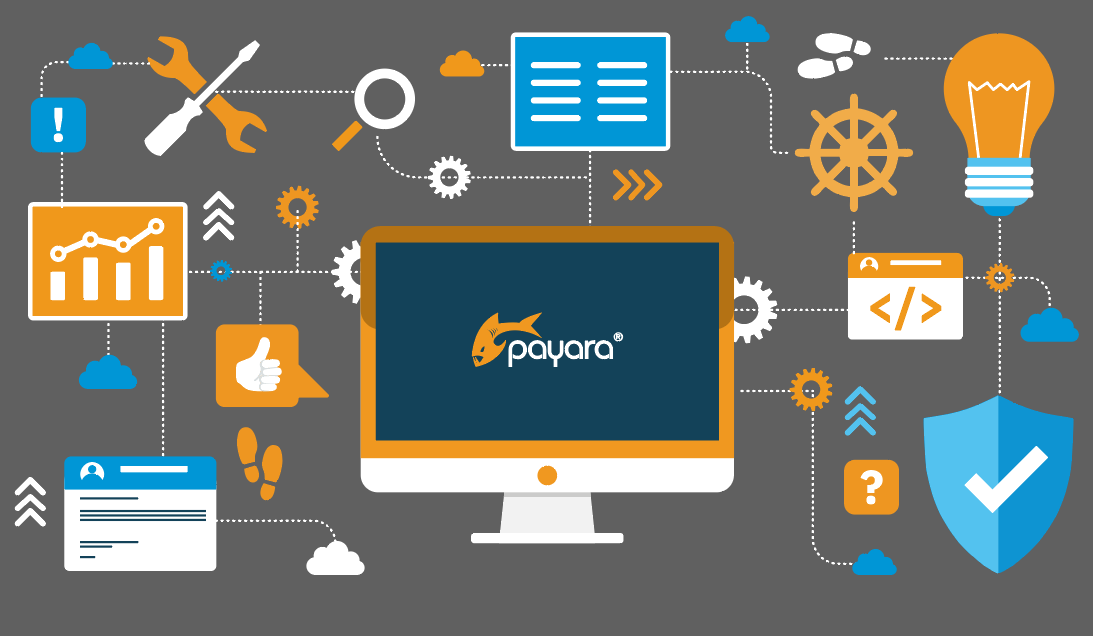 What is Platform Engineering - An Overview without Buzzwords | Payara ...