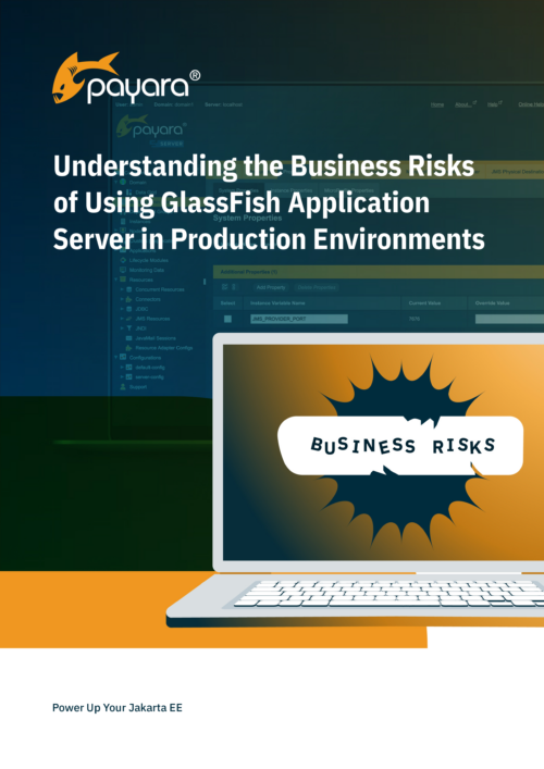 eBook Understanding the Business Risks of Using GlassFish Application Server in Production Environments