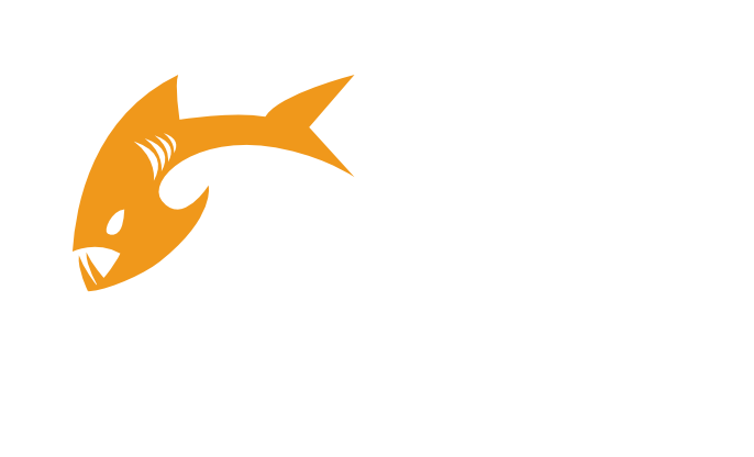 Payara Accelerator Services