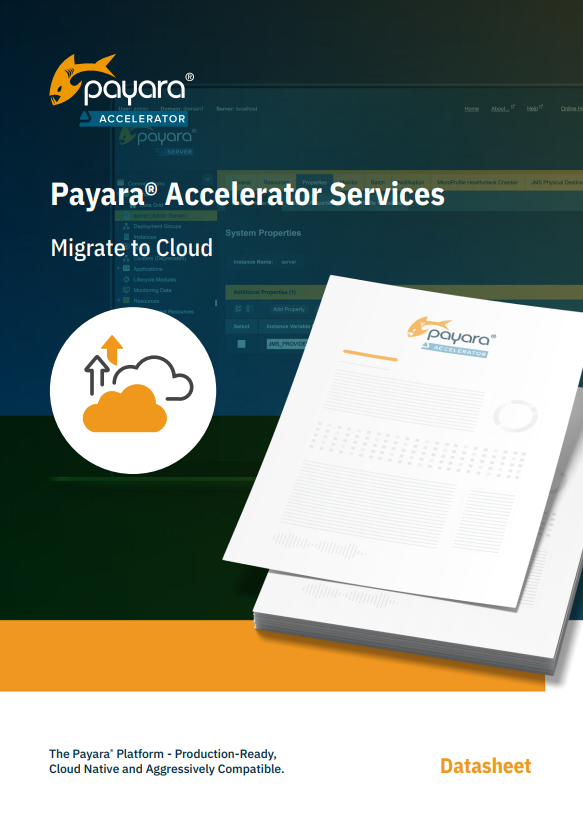 payara accelerator services - migrate to the cloud