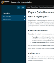 payara qube documentation small