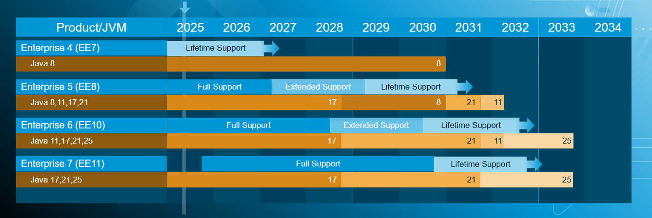Payara Software Lifecycle Phases