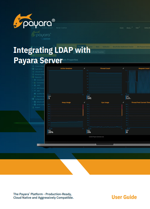 Integrating LDAP with Payara Server