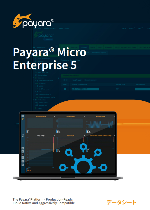 Payara Micro 5 Datasheet (Japanese)